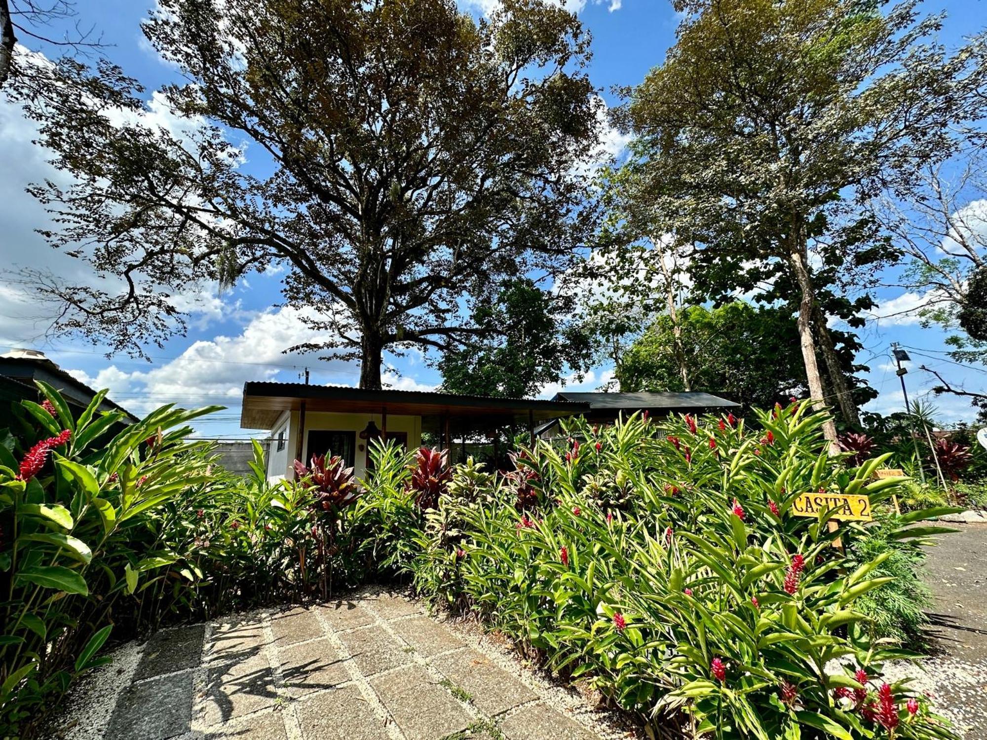 Almendros Eco-Villas La Fortuna Εξωτερικό φωτογραφία