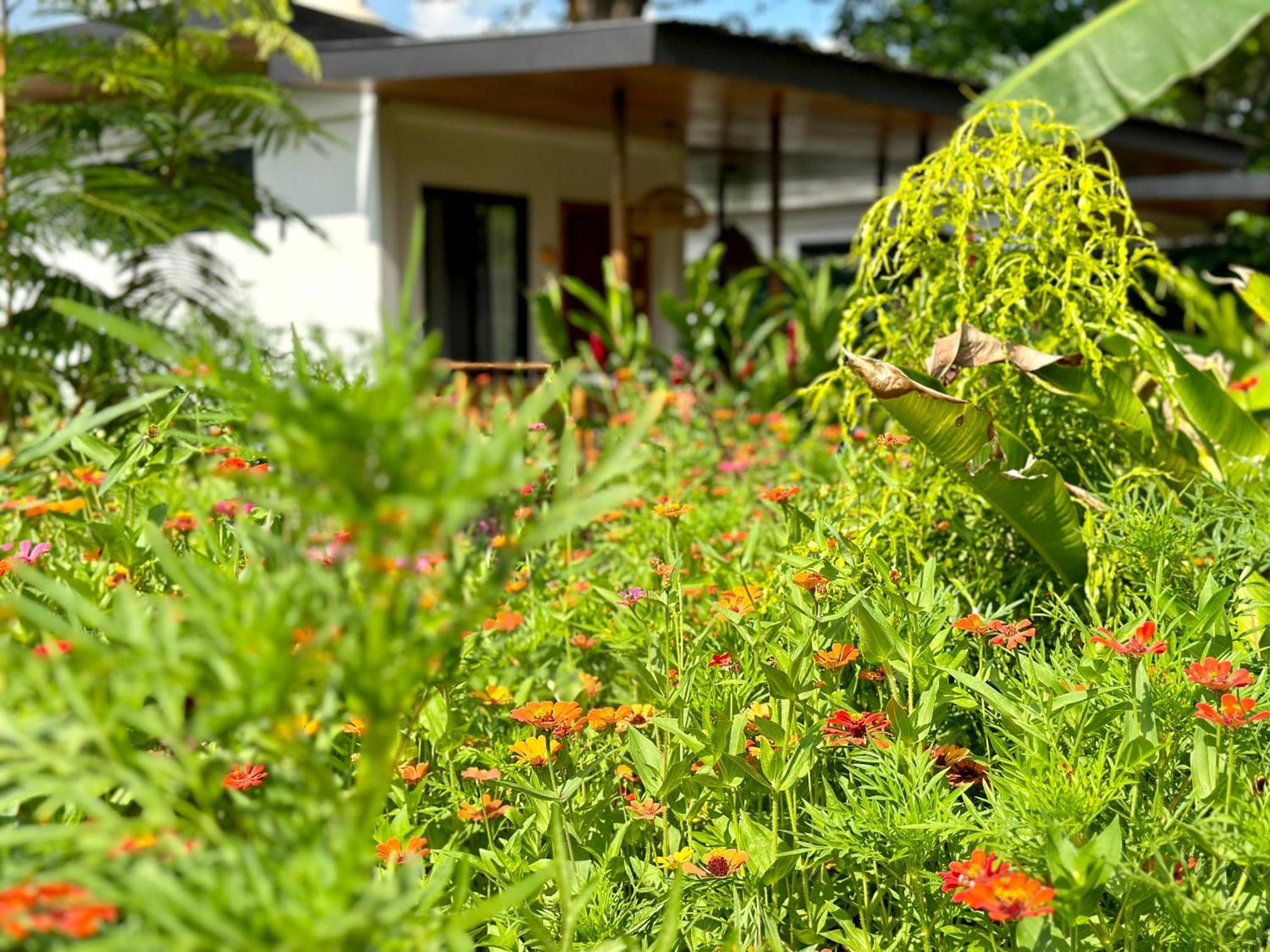 Almendros Eco-Villas La Fortuna Εξωτερικό φωτογραφία
